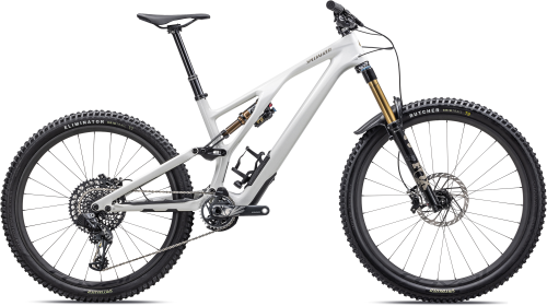 Stumpjumper Evo Pro